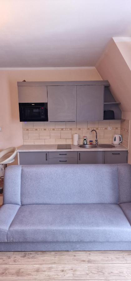 Apartament Krokus Zakopane Esterno foto